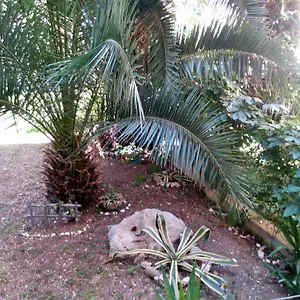 Crvena Orhideja Appartamento
